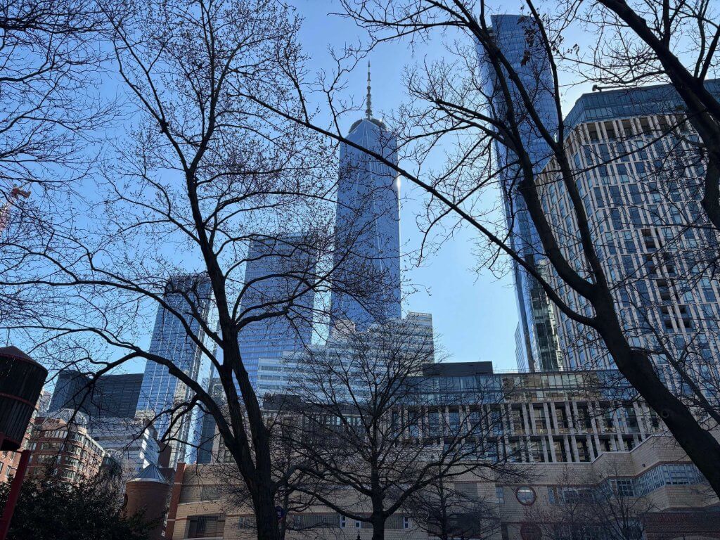 Professional NYC movers